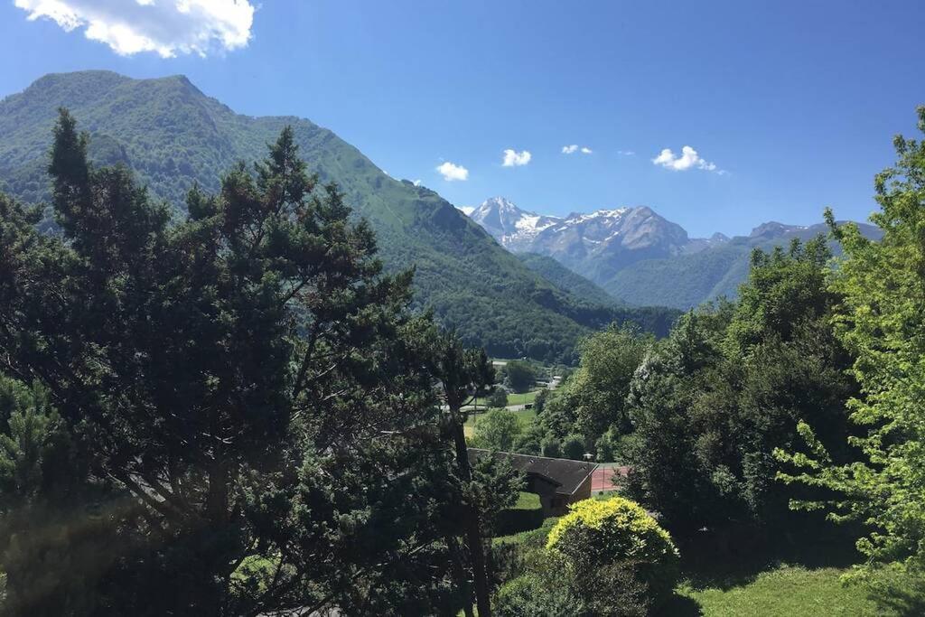 Chalet De L'Ours Brun, Gite 3 Etoiles Gere-Belesten Eksteriør bilde